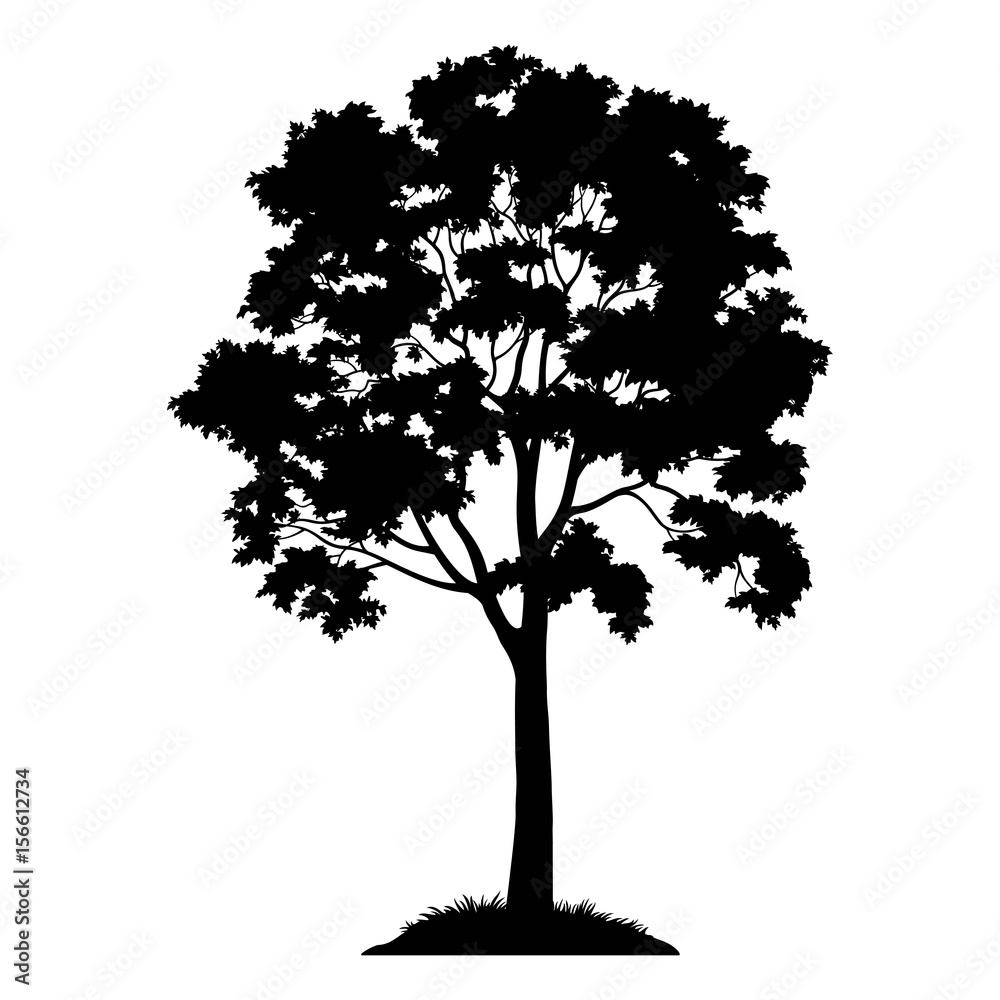 My Image 7