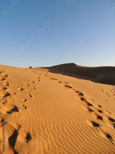 traces in desert