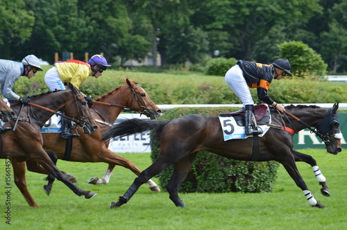Fototapeta Naklejka Na Ścianę i Meble -  cheval de courses