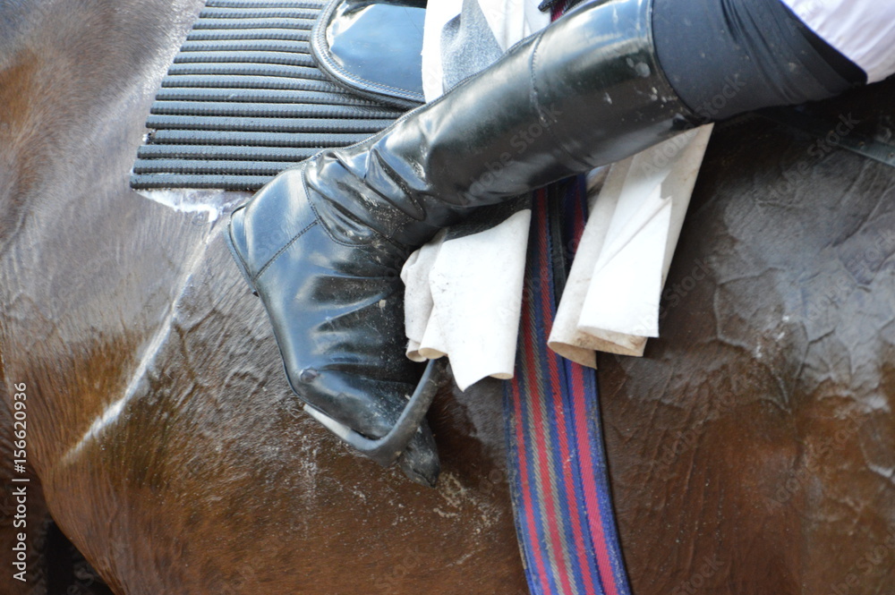 Obraz premium cheval de courses