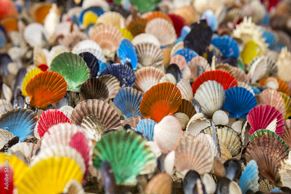Many of Colorful seashell as background, selective focus