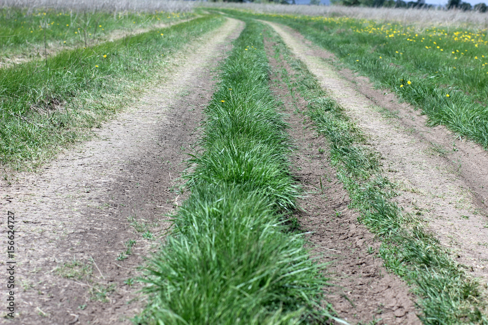 dirt road in field dirt road in field