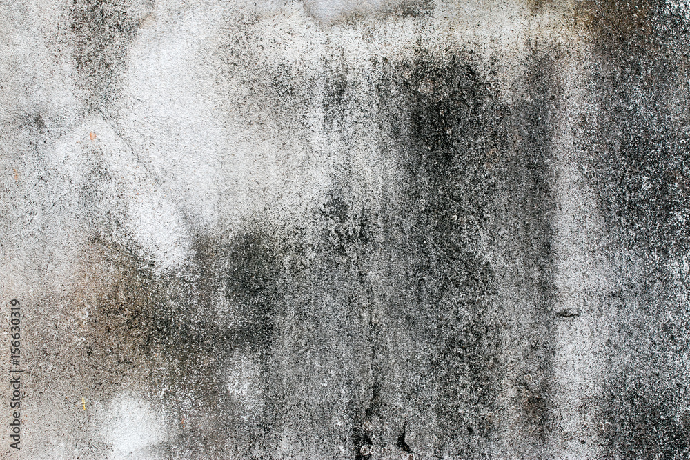 Fototapeta premium white concrete wall texture