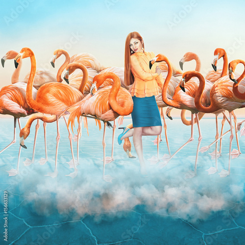 Red Flamingo in desert with a clouds and elegant dressed up girl with a long hair in the middle