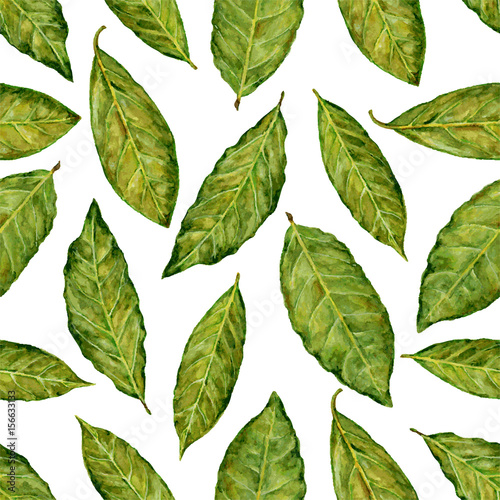 Bay leaf watercolor vector illustration isolated on white background, Hand drawn seamless pattern, Design food, Organic fresh spice ingredient for healthy market, restaurant menu, kitchen aromatherapy © m_e_l