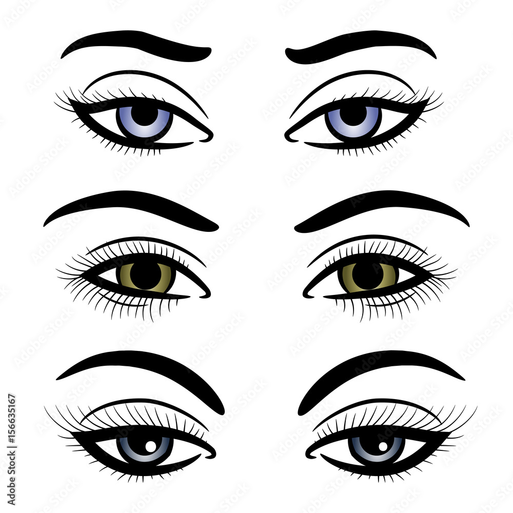 Colorful female eyes and brows isolated on white background. Vector illustration