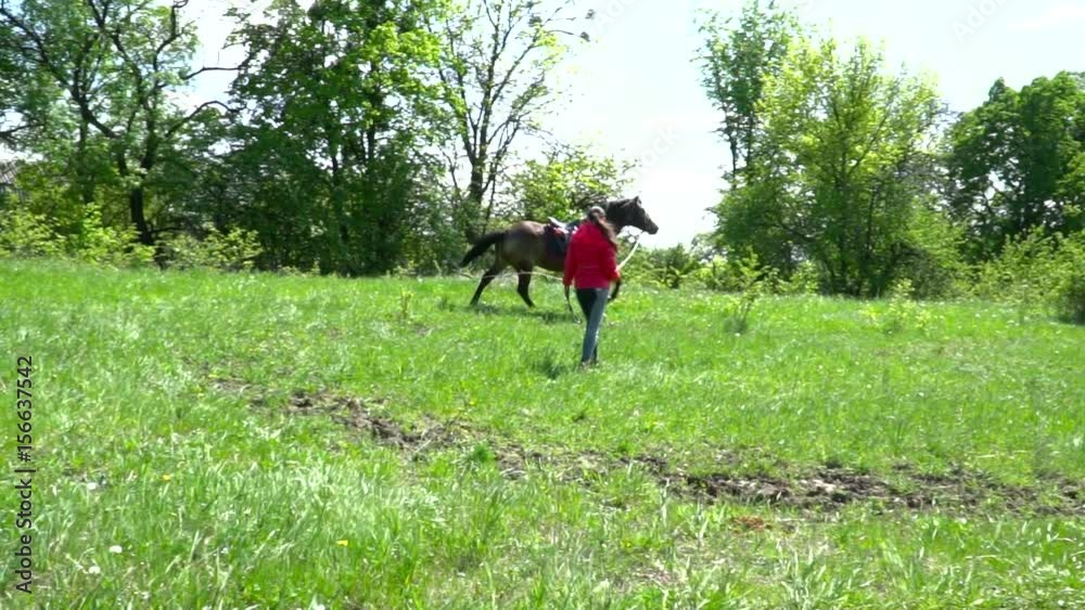 Horse running fast on the circle slow motion Horse running fast on the circle slow motion