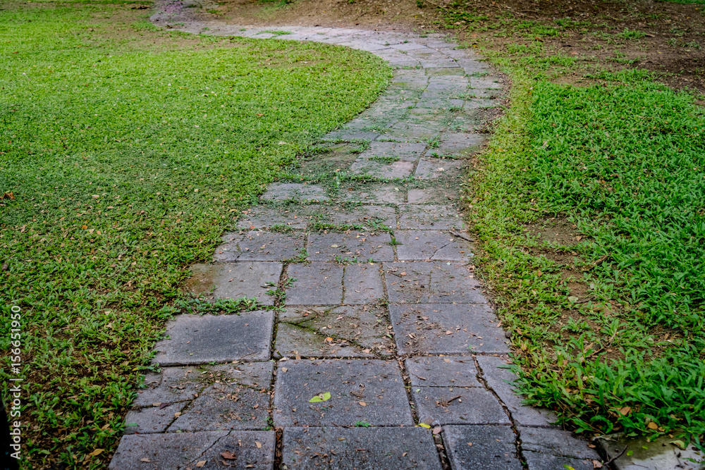 Pathway in park Pathway in park