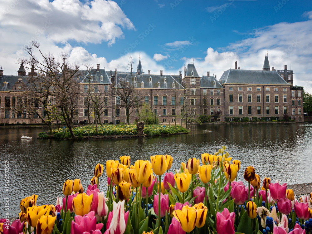 Binnenhof palace, Dutch parliament,  the Hague, Den Haag, Netherlands
