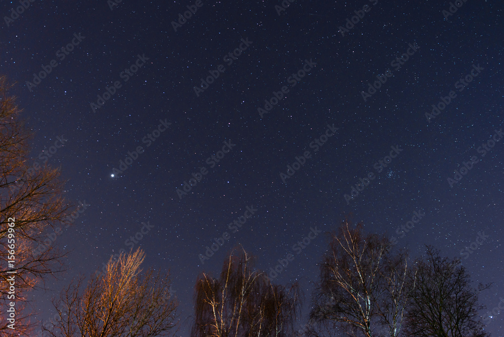 Naklejka premium beautiful night sky, the Milky Way and the trees