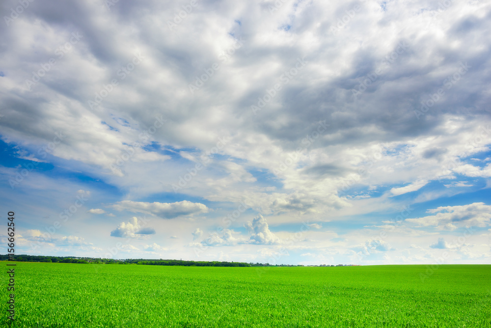 Green grass field and bright blue sky background Green grass field and bright blue sky background