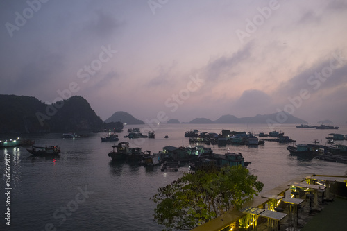 Boats in the harbor on Cat Ba Island, Hai Phong Province, Vietnam