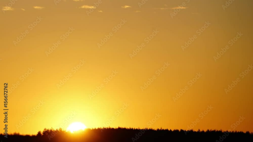 Sunrise over the birch forest in early spring with a clear orange sky Sunrise over the birch forest in early spring with a clear orange sky