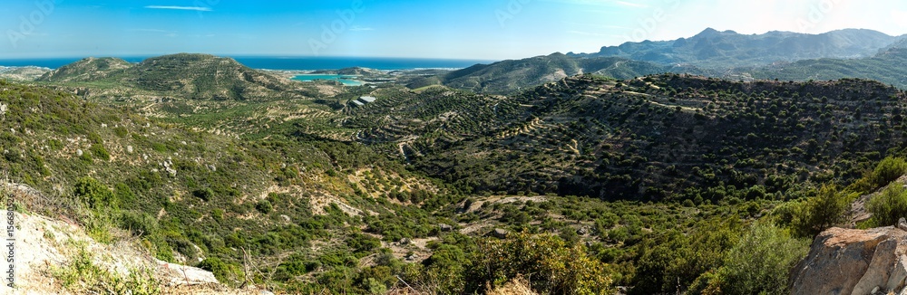 Greece, Crete, olive orchard on the hills with sea in the view