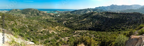 Obraz na płótnie Greece, Crete, olive orchard on the hills with sea in the view w salonie