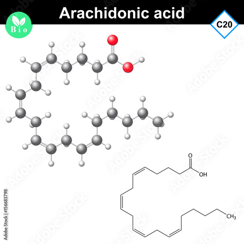 Arachidonic unsaturated fatty acid molecule