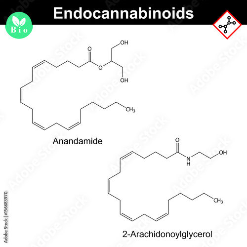 Endocannabinoids chemical molecular structures
