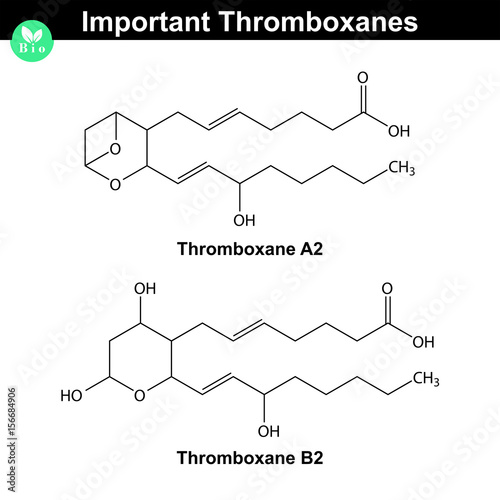 Most important thromboxanes