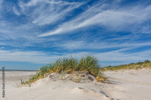 Fototapeta Naklejka Na Ścianę i Meble -  Gree grass on white sand beach.