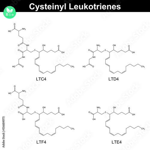 Cysteinyl peptide class of leukotrienes photo