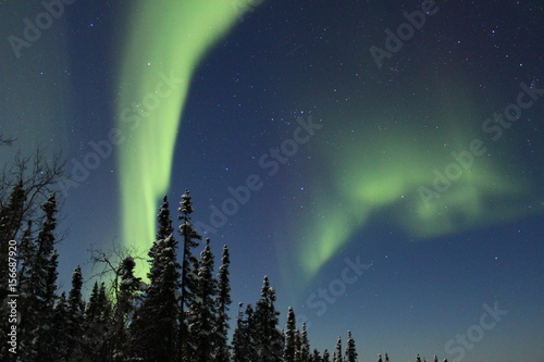 Northern Lights  Aurora Borealis  Above Fairbanks  Alaska