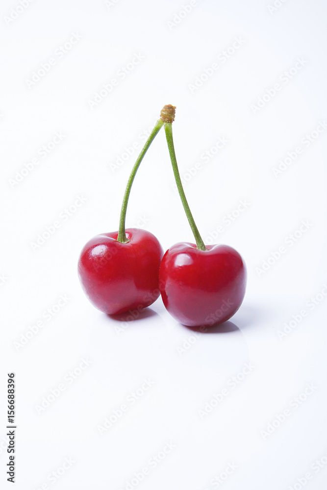 kulak küpesi kulak küpesi