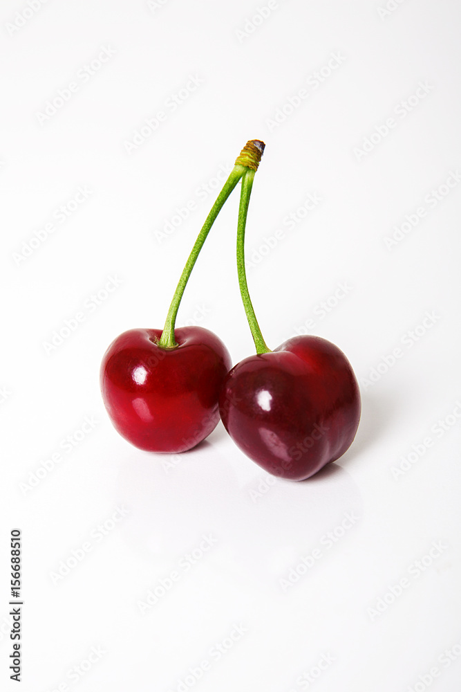 dalında dalında