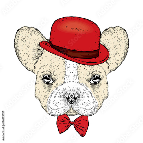 Funny bulldog with a hat and a butterfly. Vector illustration. Beautiful dog.