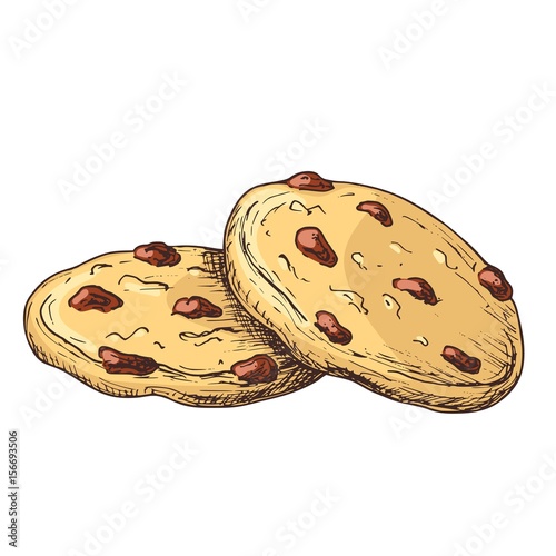 Sketch colorful graphic cookies illustration, draft silhouette drawing, isolated on white background. Delicious vintage etching food design.