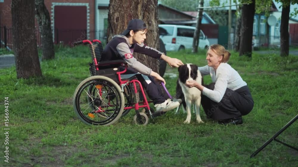 Mother walks with her son in a wheelchair with a dog Mother walks with her son in a wheelchair with a dog