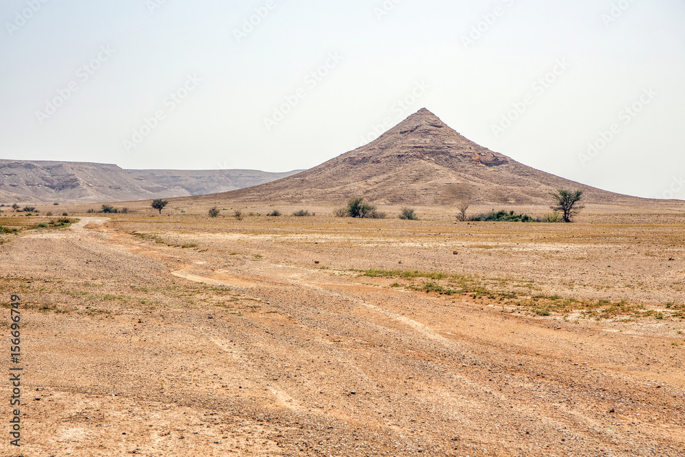 Desert Desert