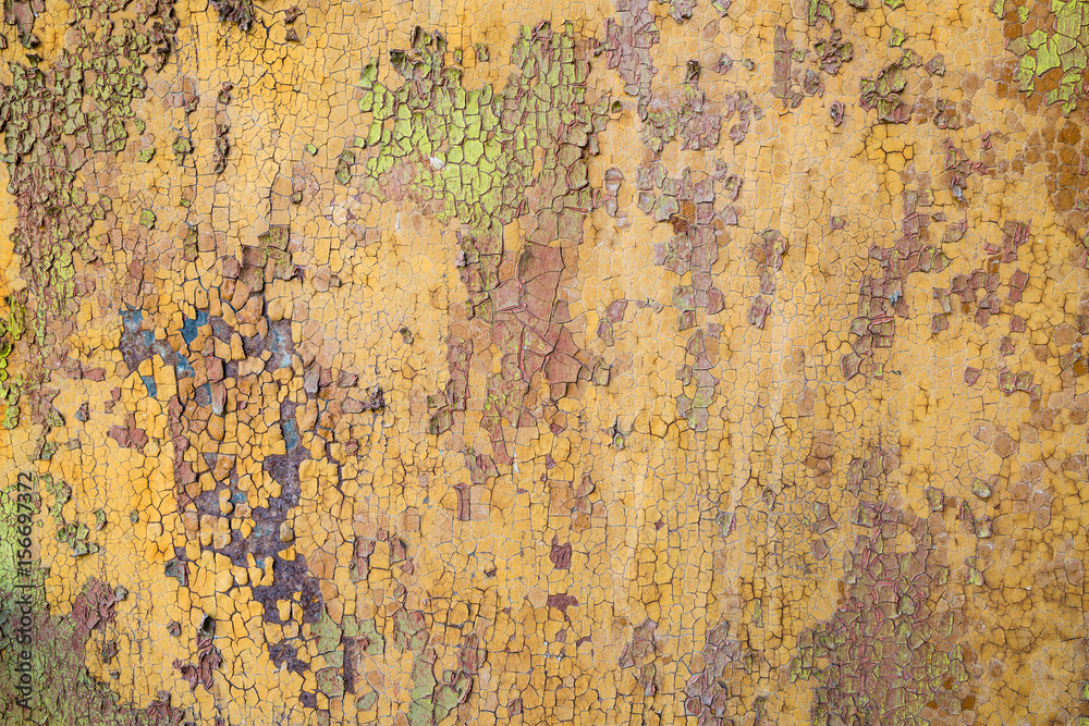 multicolor aged paint on wooden door grunge texture