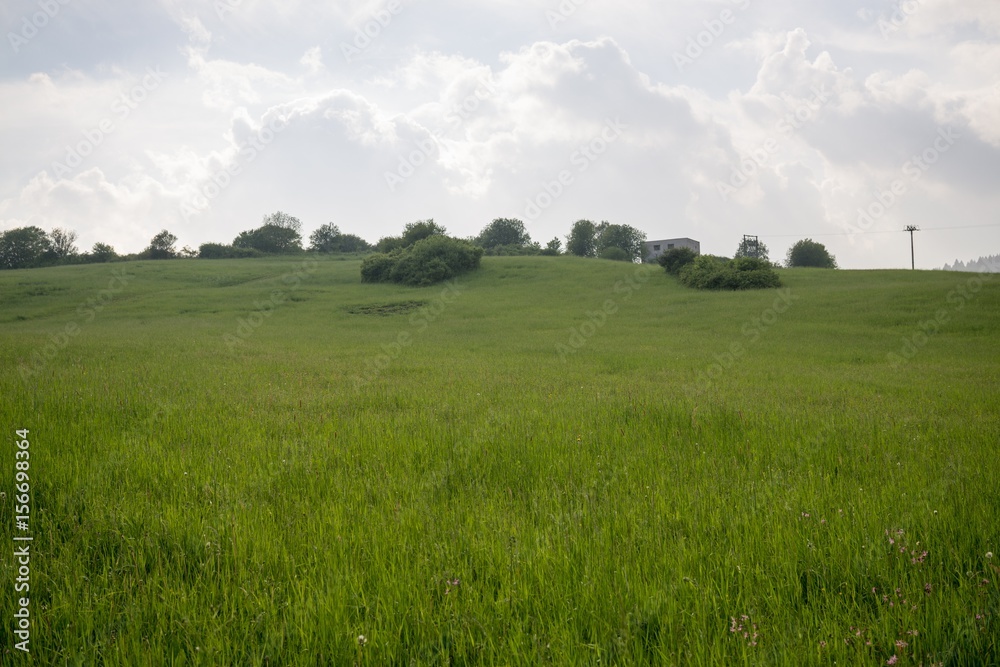 Green meadow during sunny and cloudy afternoon. Slovakia