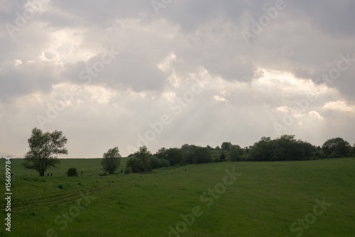 Sunset on meadow with hills and tree. Slovakia