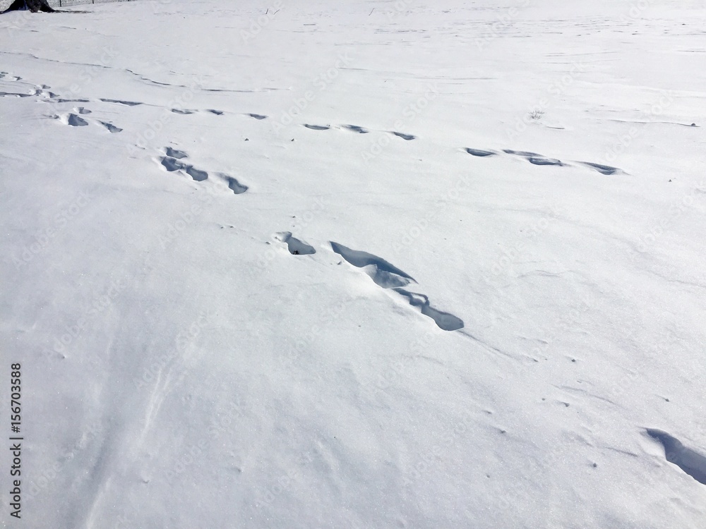 Holes on snow in winter Holes on snow in winter