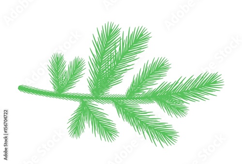 Pine