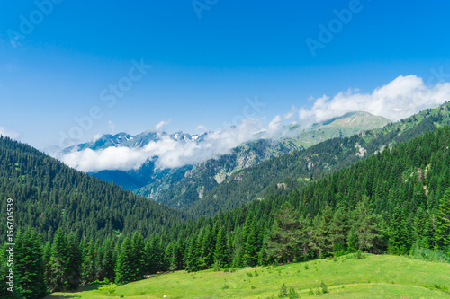 Summer Mountain Plateau Highland with Artvin, Turkey