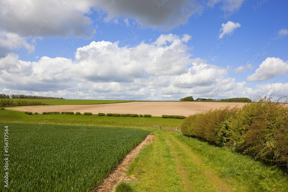 wheat valley and bridleway wheat valley and bridleway