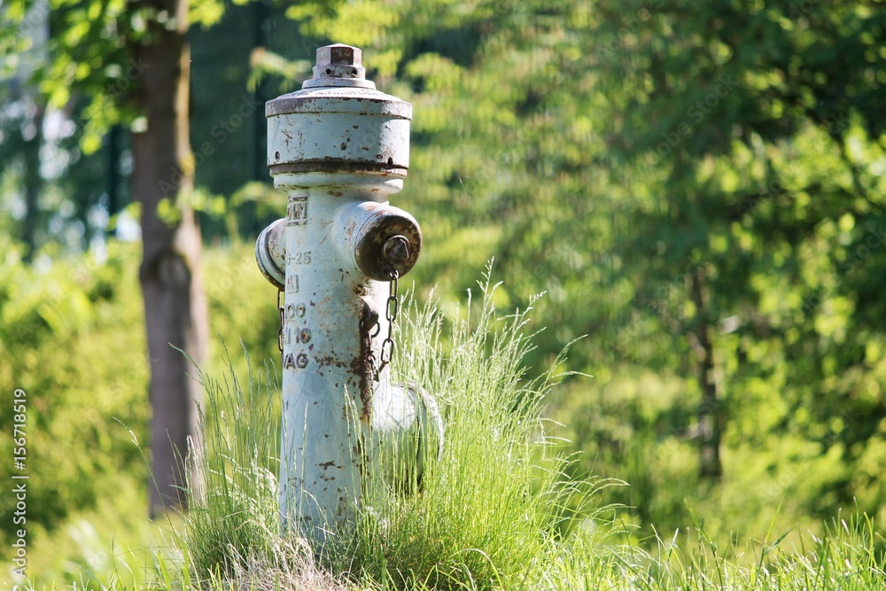 Hydrant auf einer Grünfläche