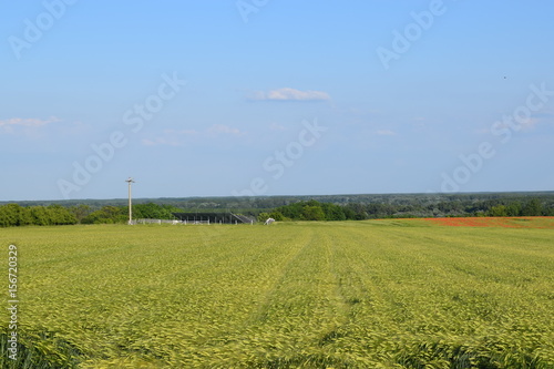 Agricultural land in the spring