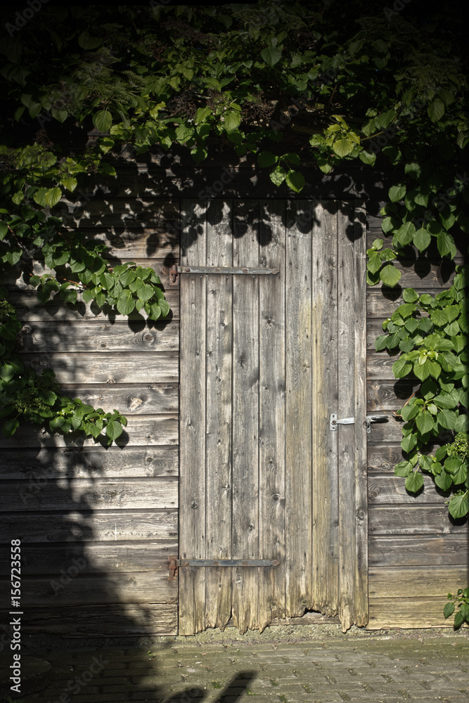 Old door in nature Old door in nature