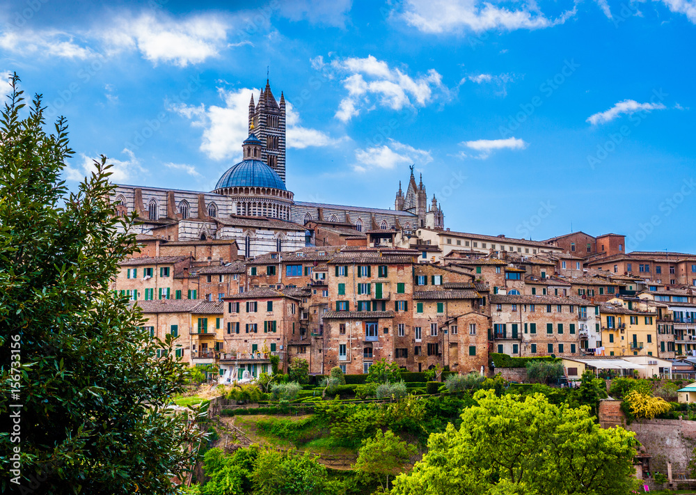  Beautiful view of the historic city of Siena. Tuscany, Italy 