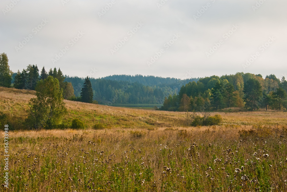 Autumn forest in South Karelia Autumn forest in South Karelia
