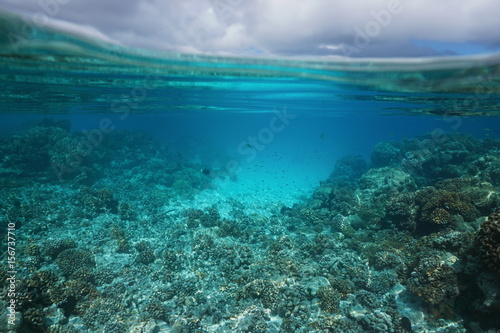 Underwater seascape shallow coral reef and cloudy sky split by waterline, lagoon of Rangiroa, Tuamotus, Pacific ocean, French Polynesia