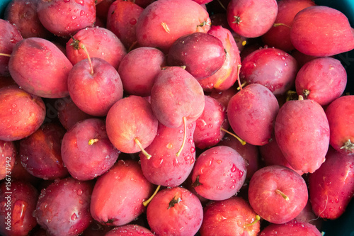 Crab Apples 