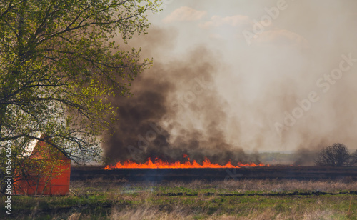 A line of fire with billowing smoke on an agricultural field beside a green leaft tree in a prairie landscape