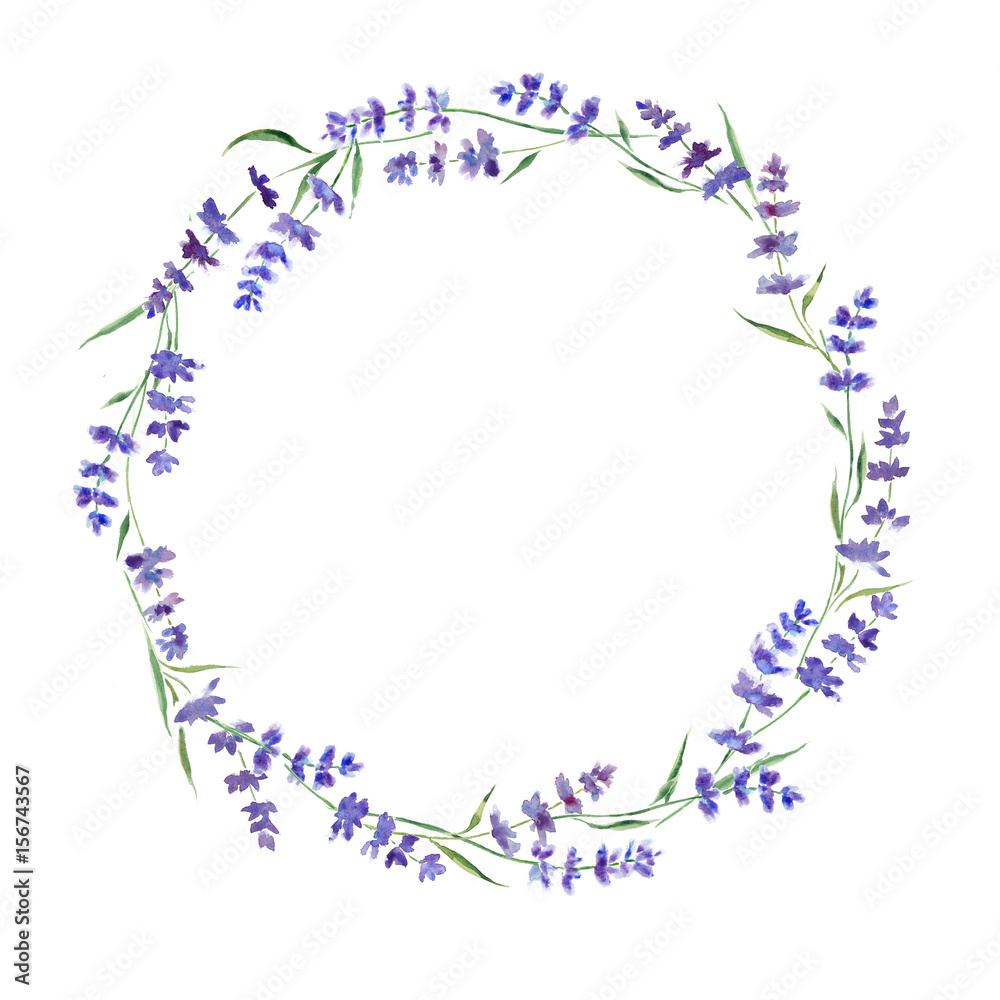 Wreath of lavender branches. Original isolated on white watercolor painting.