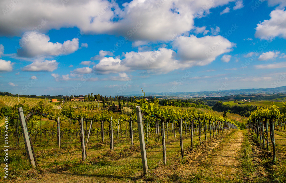 Fototapeta premium Beautiful Tuscany landscape, Italy 