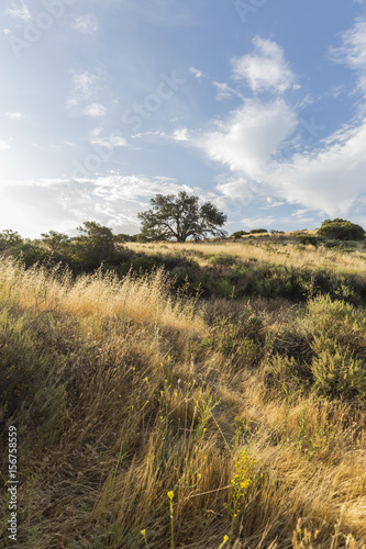 Morning hillside view at Sa...