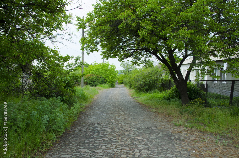 
The road from the cobblestone passes through dense green vegetation.